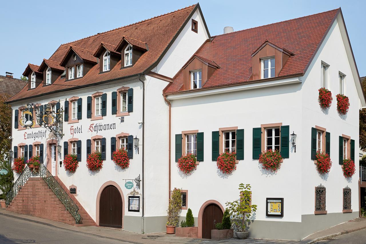 Ferienhaus Rheintalblick Aparthotel Bad Bellingen Exterior foto